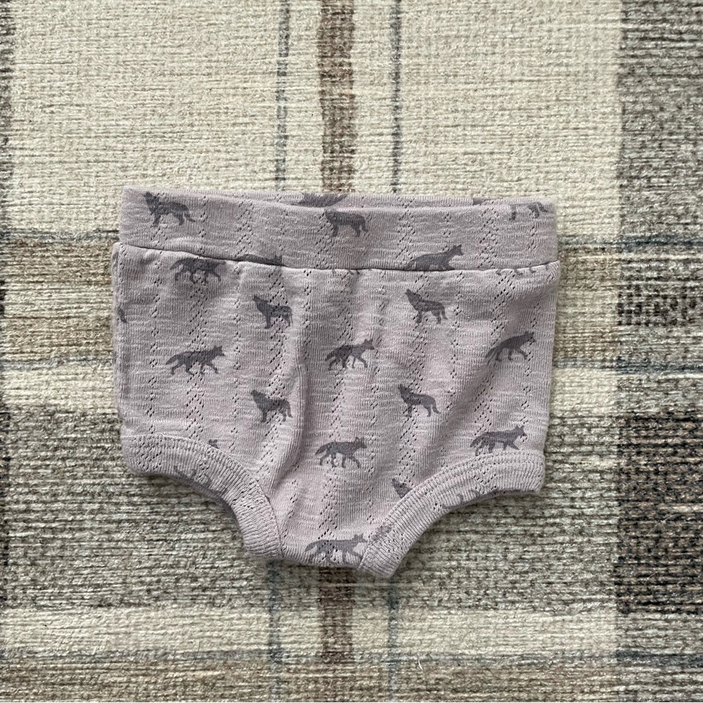 kate quinn tiny coyote pointelle bloomers